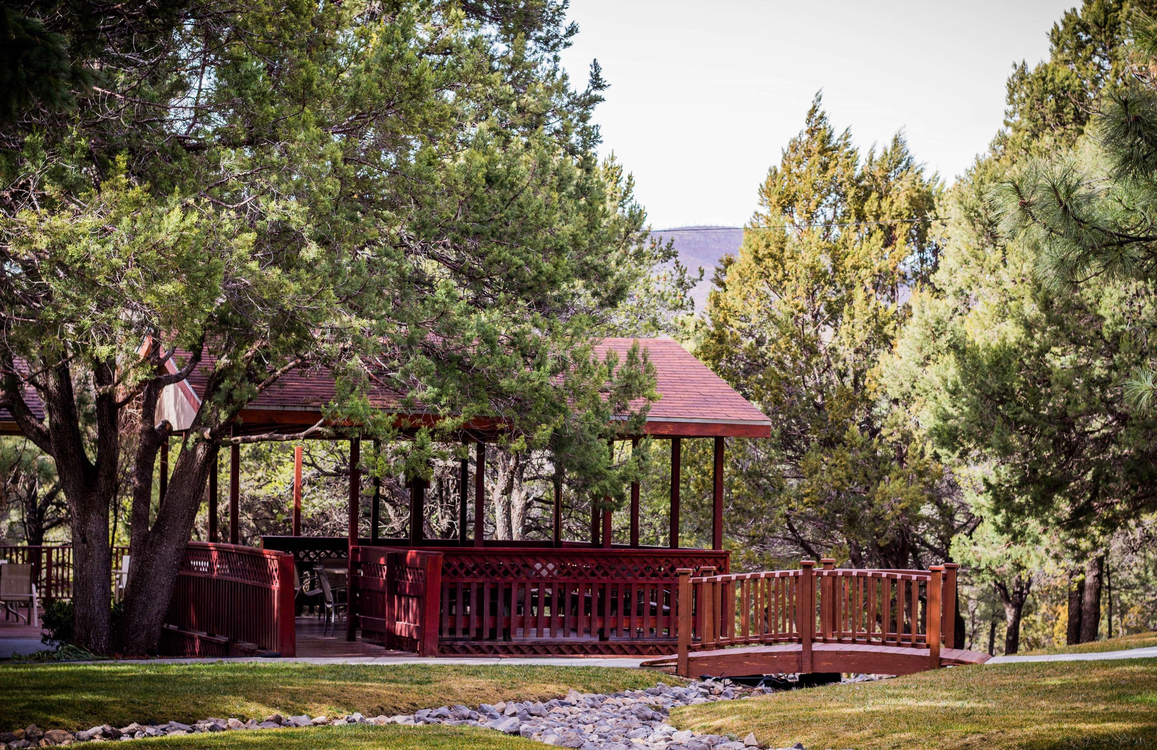 Best Western Pine Springs Inn Ruidoso Downs Zewnętrze zdjęcie